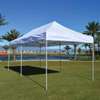 Foldable Canopy Tent thumb 0