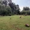 1/4 PLOT FOR SALE IN ST GEORGE'S KAPSERET ELDORET thumb 5