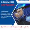 E-Commerce Websites and Software thumb 1
