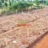 Prime Residental plots for sale in Kikuyu,karai-Migumoini thumb 2
