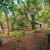 4 Bed House with En Suite in Ukunda thumb 7