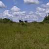 2-Acre Freehold Land With Nairobi City & SGR Views thumb 6
