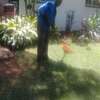 House Managers, Housekeepers, Chefs/Cooks, Estate Managers, Butlers, Chauffeurs/Drivers, Cleaners & Garden Services in Nairobi. thumb 6