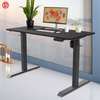 Luxury Electric Height Adjustable Standing Desk thumb 2