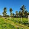 land for sale in vipingo thumb 2