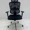 Advanced Mesh Back Executive Chair thumb 0