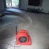 Best Carpet Drying Services In Nairobi thumb 2