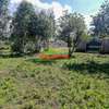 0.05 ha Residential Land at Lusigetti thumb 15