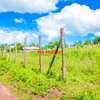 PRIME PLOTS FOR SALE IN A LUSINGETTI GATED COMMUNITY CONCEPT thumb 1