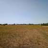 0.125 ac Residential Land at Kenol thumb 15