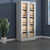 Office Cabinet: 2 Doors Gray Glass Front Office Cabinet thumb 0