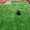 Pets play area well fitted artificial grass carpet thumb 1