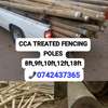 PRESSURIZED TREATED FENCING POLES thumb 2