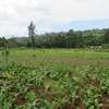3.25 Acres Of Land For Sale in Ruku/Wangige thumb 1