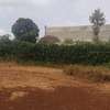 One Acre Land for Sale at Thogoto Kikuyu thumb 0