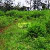 0.64 ac Residential Land in Thindigua thumb 3