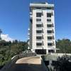 Furnished 1 Bed Apartment with En Suite at General Mathenge thumb 14