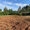 6,000 m² Land in Limuru thumb 17