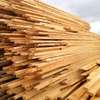 Roofing timber suppliers(Cypress&bluegum) thumb 2