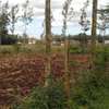 0.1 ha residential land for sale in Ngong thumb 5
