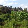 250 m² Commercial Land in Kikuyu Town thumb 5