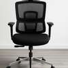 Office Chair: Modern Office Seat With Lumbar Support thumb 1
