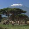 3 Days Best of Masai Mara Safari thumb 9
