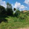 50 by 200 plot for sale in Kitisuru thumb 3