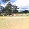 400 acres along Athi-River in machinery makueni county thumb 5