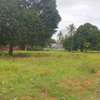 1/8 Acre Plot for Sale, Mtomondoni Mtwapa thumb 3