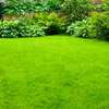 Garden Service & Landscaping - Hedge cutting services thumb 4