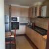 Spacious Fully Furnished 2 Bedrooms Apartments In Kileleshwa thumb 10