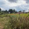 500 m² commercial land for sale in Kikuyu Town thumb 11