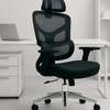 Office Chair: Orthopedic Adjustable Office Seat thumb 0
