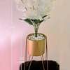 Indoor Luxurious Golden Decorative Plant Stand thumb 1