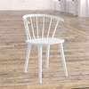 Home Chair: Modern Plastic Winsor Dining Chair thumb 0