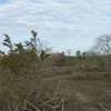 100 ac Commercial Land at Lungalunga thumb 3