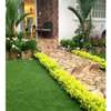 Landscaping services provider thumb 3