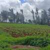 0.05 ha Residential Land at Kikuyu Kamangu Ruthigiti thumb 1