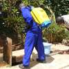 BED BUG Fumigation and Pest Control Services in Kiambu road thumb 0