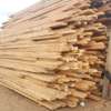 Cypress timber thumb 0