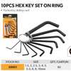 10 Hex Keys (Allen) Wrenches Set, 20051 thumb 0