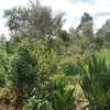 Ideally Located 1/4 Acre Plots With Forest Mt Kenya View thumb 2