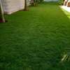 AFFORDABLE AND LOW MAINTENANCE LANDSCAPING SERVICES thumb 1