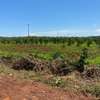 5 ac Land at Evergreen - Kiambu Road thumb 6