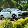 Toyota RAV4  Adventure hybrid 2019 Green thumb 7