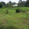 Lovely One Acre in Karen thumb 12