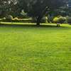 0.75 ac Land at Kunde Rd thumb 5