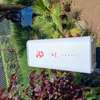 AIRTEL 5G WIFI thumb 1