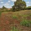0.25 ac Residential Land at Thika Greens thumb 7